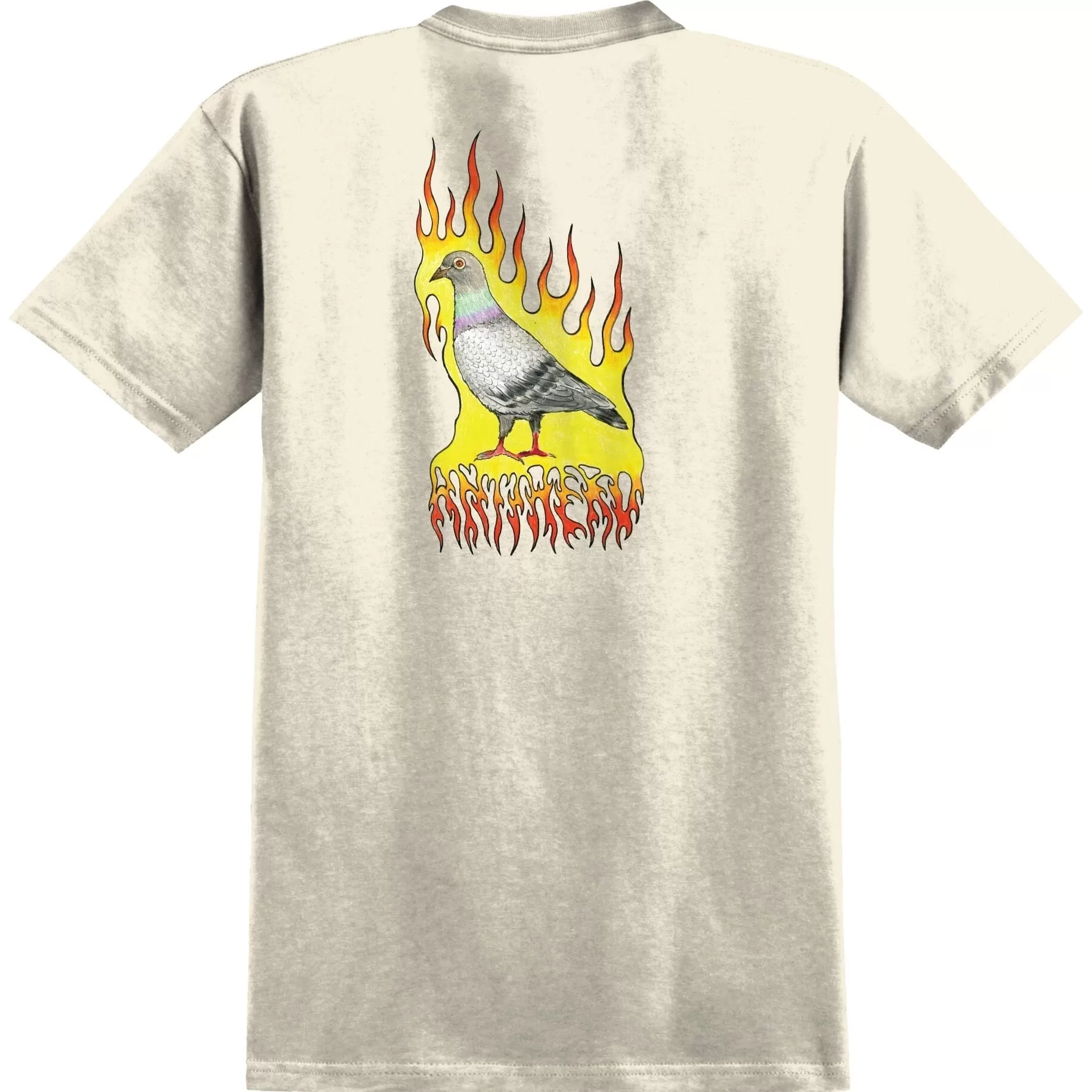 ANTIHERO Pigeon Premium T-Shirt Print Natural/Multi