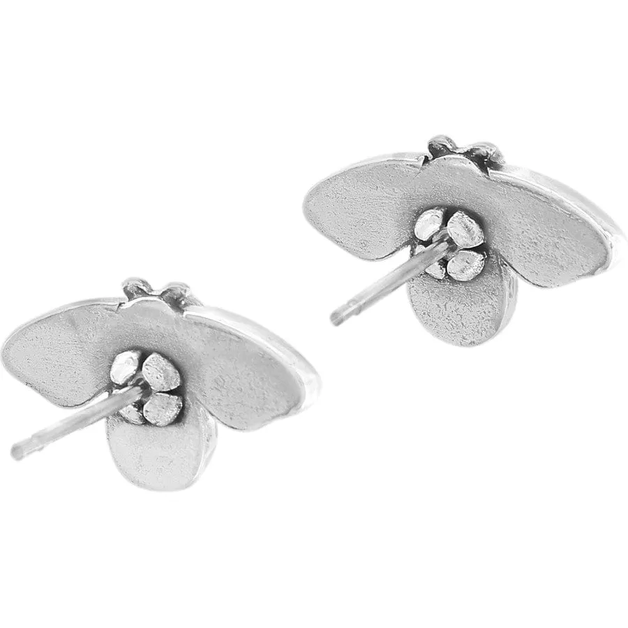 Bee Happy Mini Post Earrings