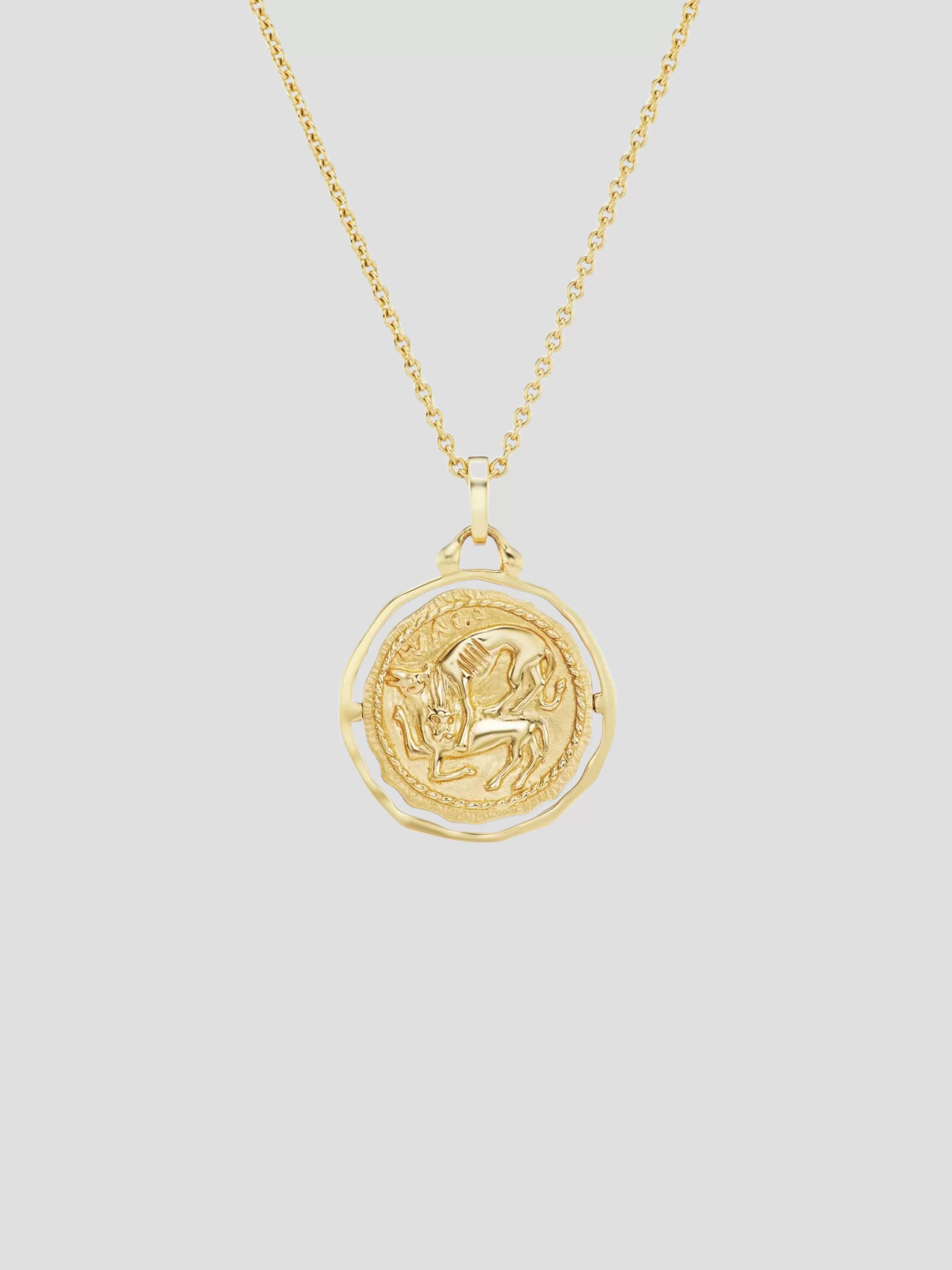 Hippocamp Amulet Necklace